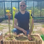 Paradiso Carnivoro