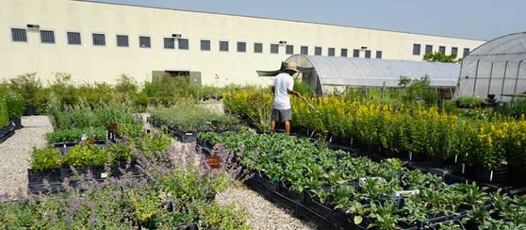 Cascina Bollate